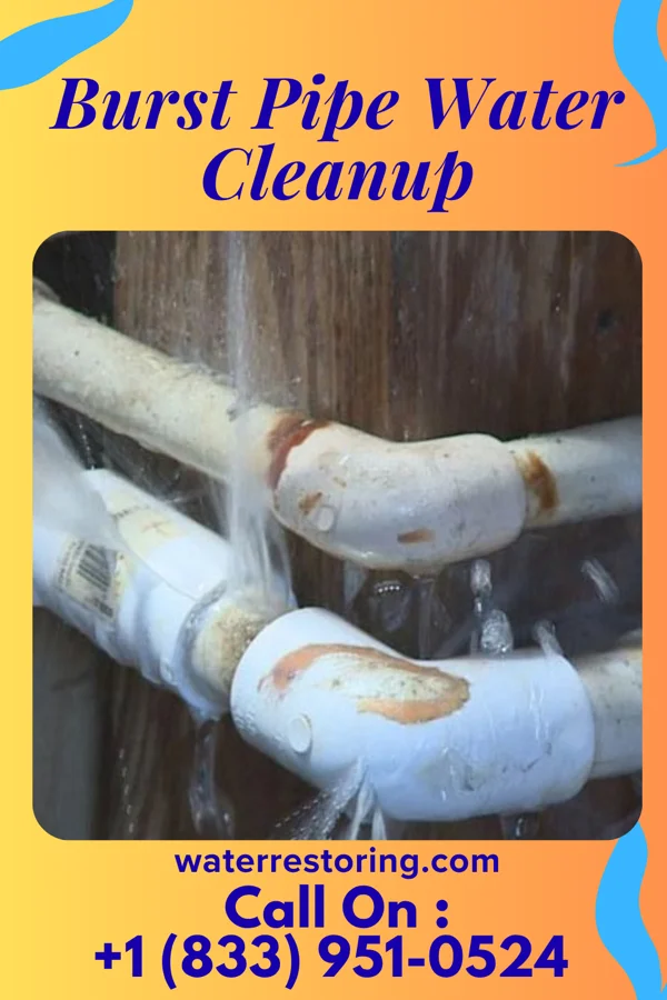 Burst Pipe Water Cleanup in Brook Park, OH