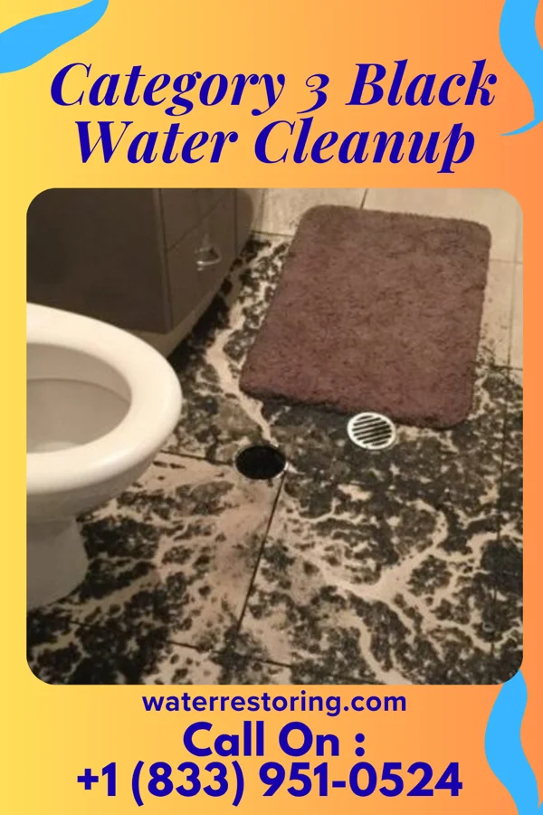 Category 3 Black Water Cleanup in Brook Park, OH