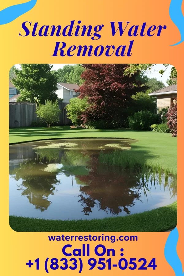 Standing Water Removal in Brook Park, OH